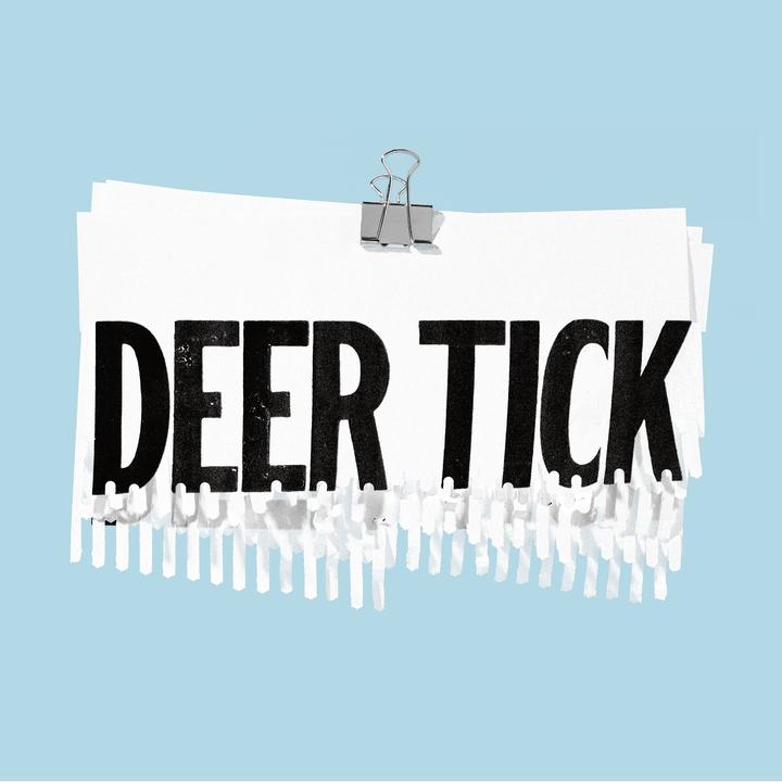 Deer Tick