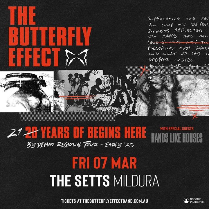 The Butterfly Effect